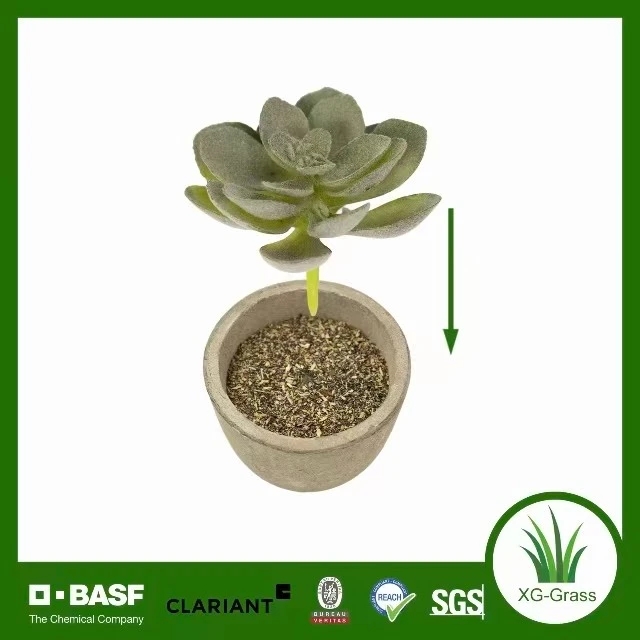 Lifelike Mini Succulent Art high quality