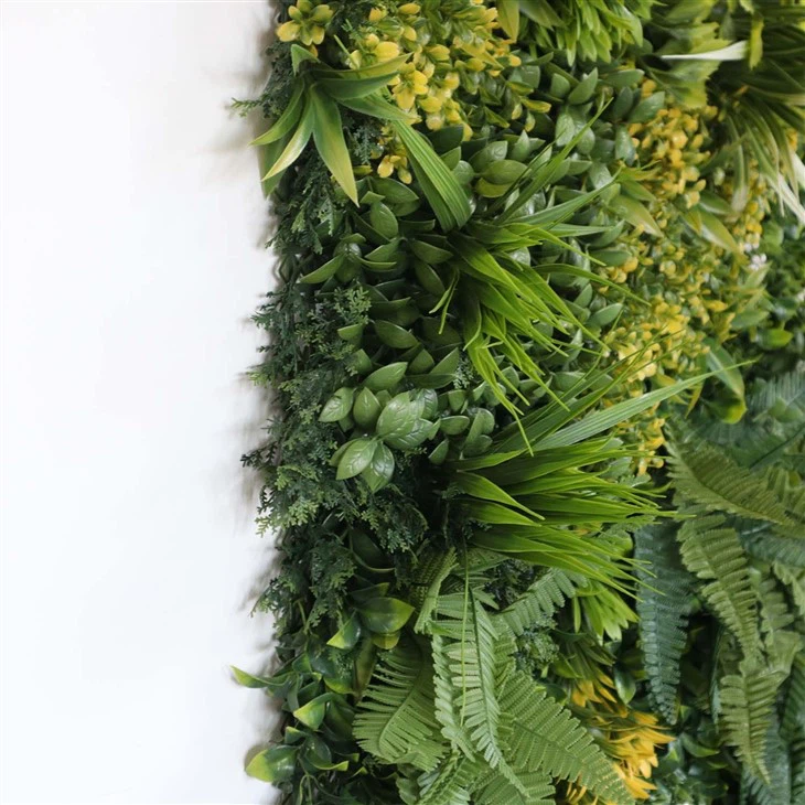 Living Wall Inside House