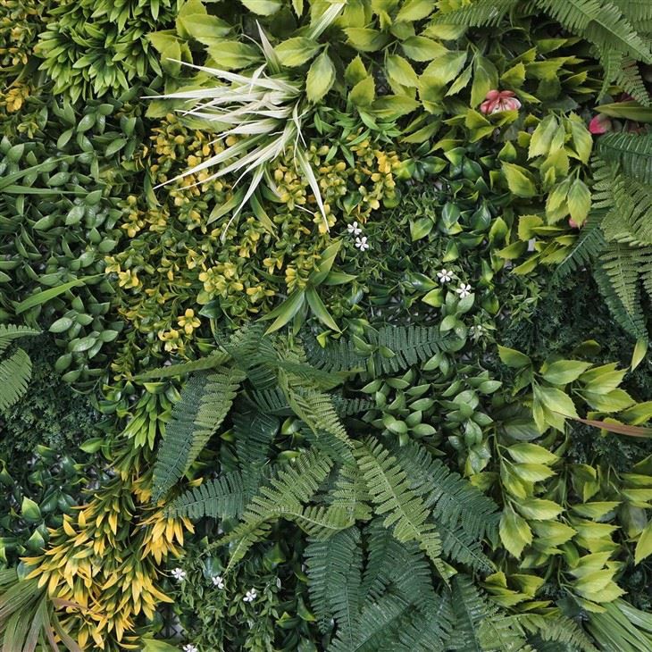 Living Wall Inside House