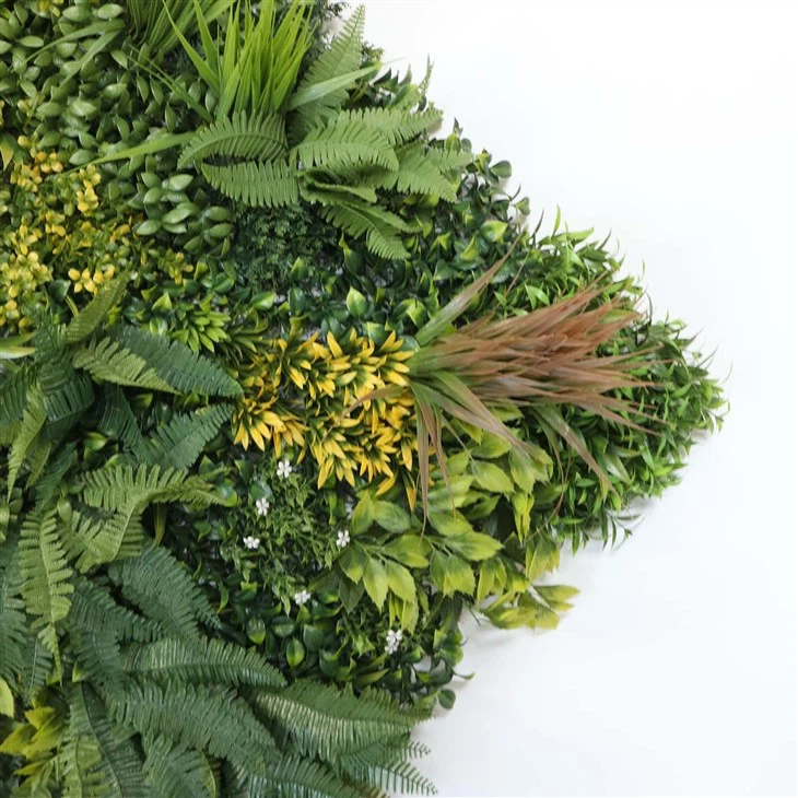 Living Wall Inside House