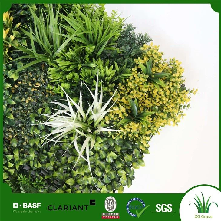 Bylinkové stěny uvnitř