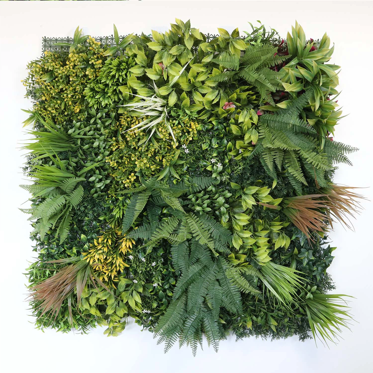 plant wall living room plant wall living room