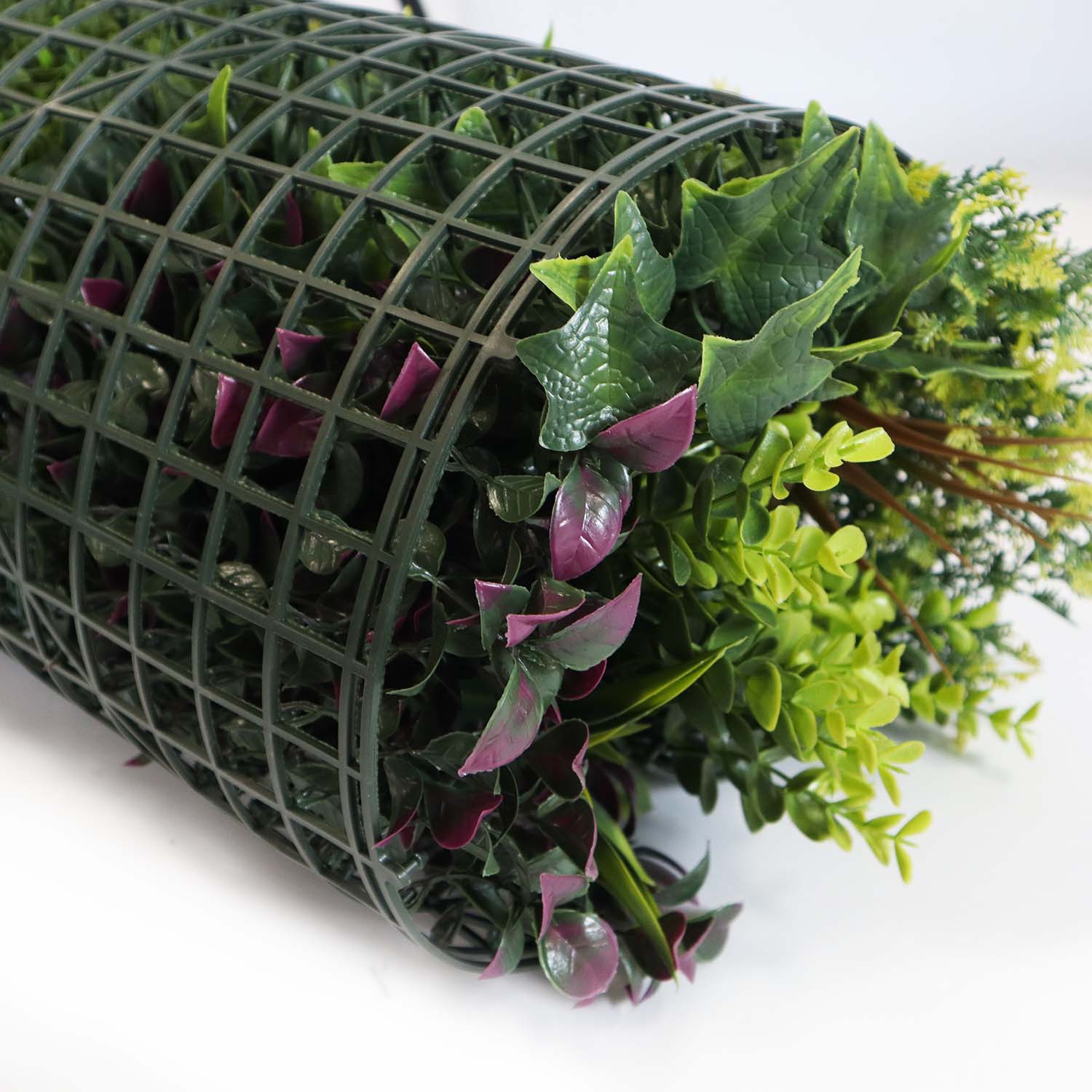 plant wall in house plant wall in house