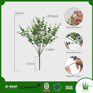 Falešná vánoční hvězda