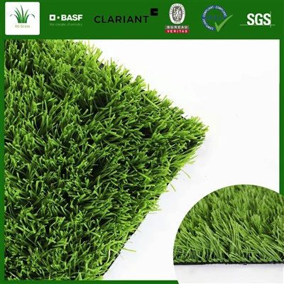 Fotbalový trávník Na Zemi