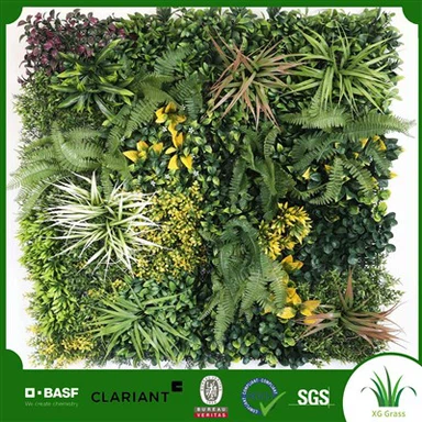 Rostliny na zelené zdi