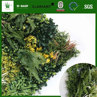 Vnitřní stěnový systém rostlin