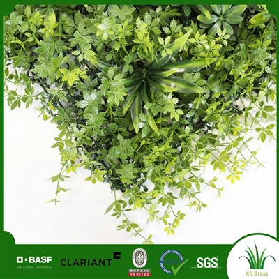 Vnitřní vertikální zahradní stěna