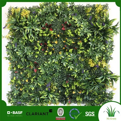 Vnitřní stěna Ivy