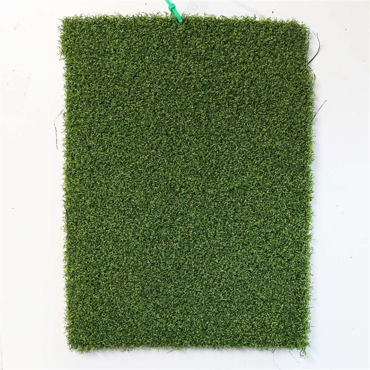 Synthetic Putting Green
